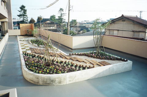 屋上花壇